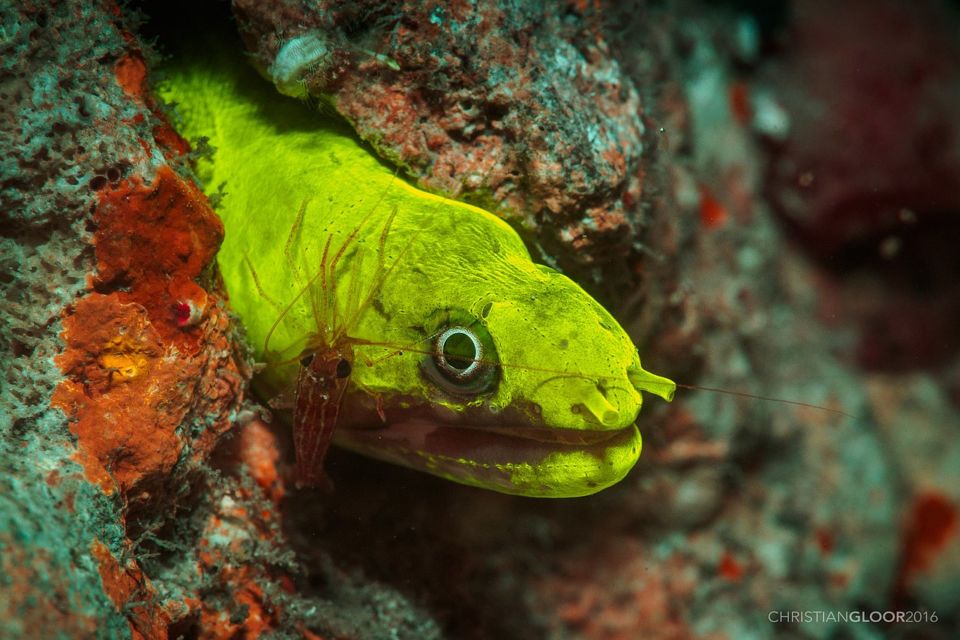 6 Rekomendasi Lokasi Scuba Diving buat Kamu yang Mau Tahu Kekayaan dan Keindahan Laut Indonesia