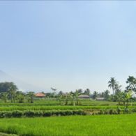 Pandanwangi: Khas Cianjur dalam Kacamata Ecomuseum