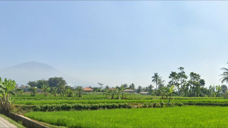 Pandanwangi: Khas Cianjur dalam Kacamata Ecomuseum