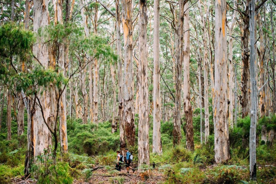 7 Tempat di Australia dengan View Otentik. Yakin Foto-fotomu Bakal Ciamik