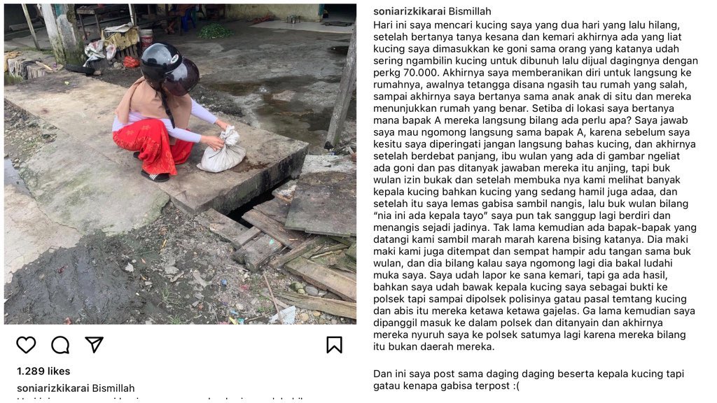 Viral Kasus Pencurian dan Penjagalan Kucing, Curhatan ini Bikin Warganet Geram. Tega Banget! :(