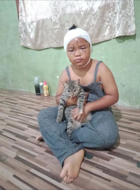 Viral Bocah Kecil Dicakarin Kucing, tapi Tetap Disayang-sayang. Budak Kocheng Sejak Dini~