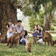 10 Foto Gemas Hewan Unik Australia yang Bikin Kamu Nggak Sabar Meluk Mereka. Cute!