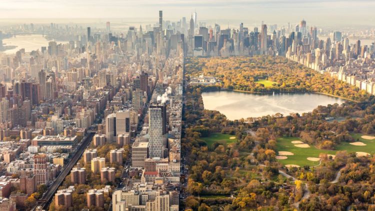 Sekali Seumur Hidup, Saya Ingin Mengunjungi New York City