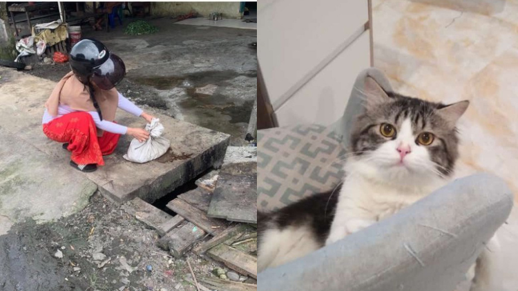 Viral Kasus Pencurian dan Penjagalan Kucing, Curhatan ini Bikin Warganet Geram. Tega Banget! :(