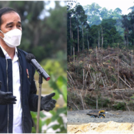 Tak Hanya Curah Hujan Seperti Kata Pemerintah, Banjir di Kalimantan Selatan Juga Dipicu Oleh Alih Fungsi Lahan