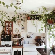 5 Tanaman yang Bisa Ditanam di Dapur. Berkebun di Dapur, Kenapa Nggak?