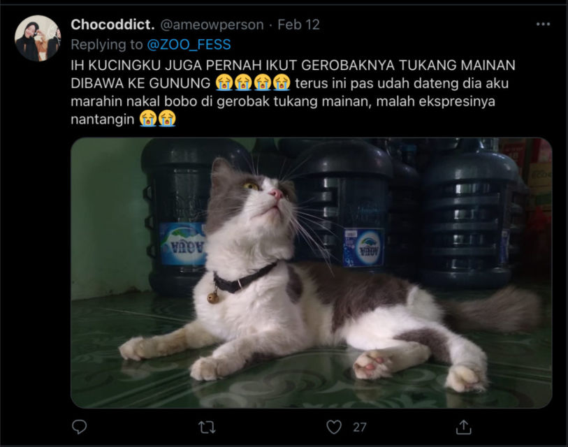 Deretan Warganet ini Ceritakan Kelakuan Ngaco Kucingnya. Para Budak Kocheng, Sini Merapat!