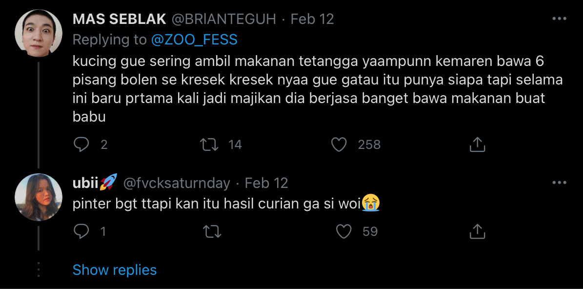 Deretan Warganet ini Ceritakan Kelakuan Ngaco Kucingnya. Para Budak Kocheng, Sini Merapat!