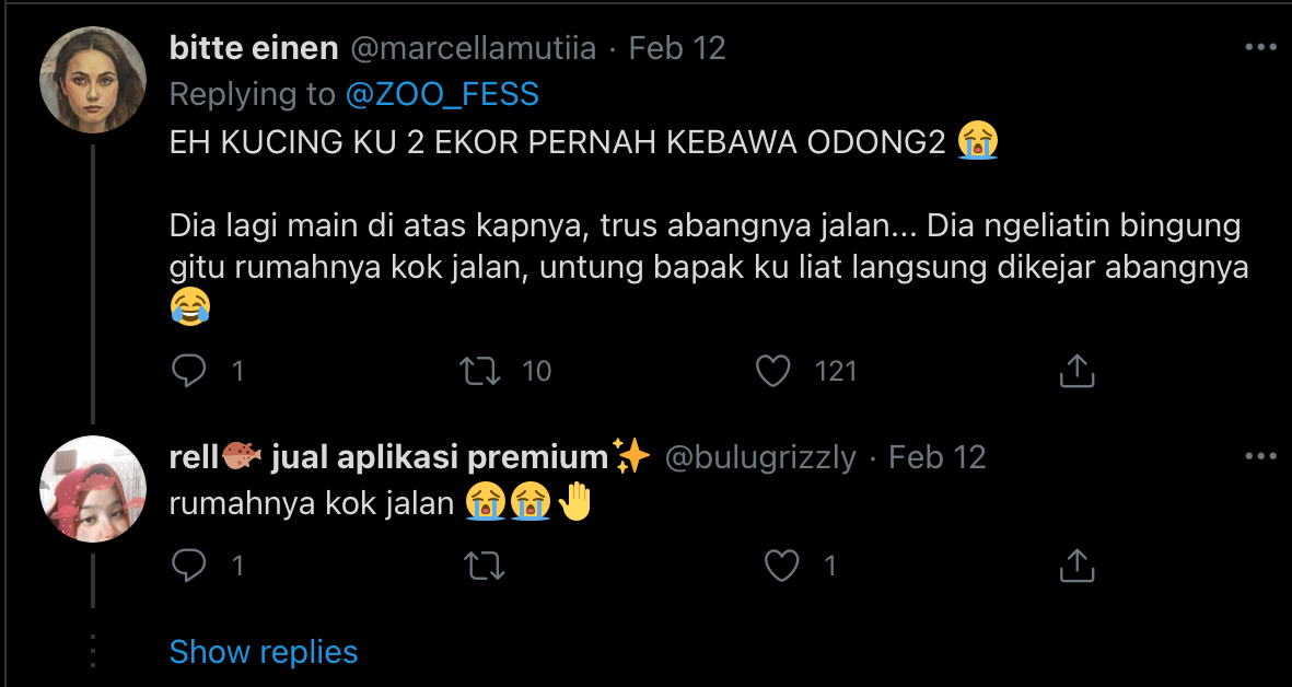 Deretan Warganet ini Ceritakan Kelakuan Ngaco Kucingnya. Para Budak Kocheng, Sini Merapat!