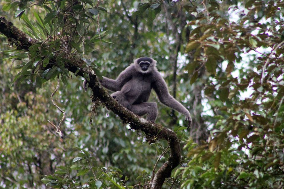 5 Fakta Menarik Gunung Gede Pangrango yang Belakangan Viral Karena Terlihat Jelas dari Jakarta