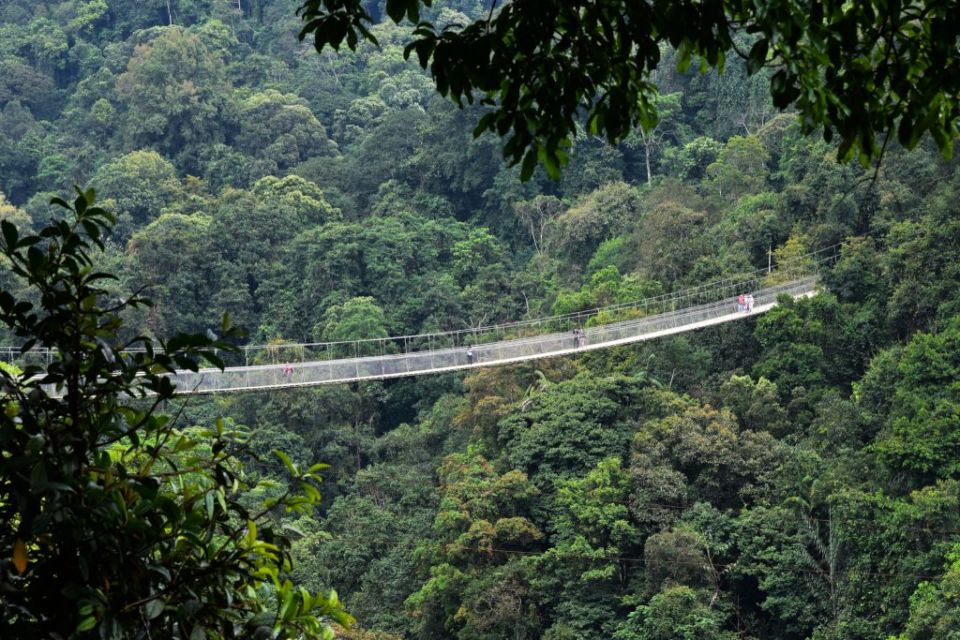 5 Fakta Menarik Gunung Gede Pangrango yang Belakangan Viral Karena Terlihat Jelas dari Jakarta