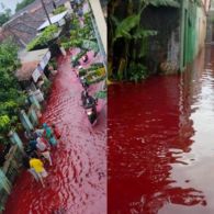 Jawa Tengah Diguyur Hujan Lebat, Banjir Warna Merah di Pekalongan Jadi Sorotan. Apa Pemicunya?