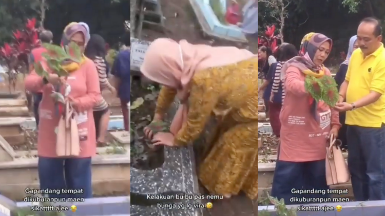 Geng Ibu-Ibu Viral Berburu Bunga Sampai ke Makam. Demam Tanaman Hias Memang Bisa Separah itu, ya :D