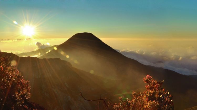 5 Fakta Menarik Gunung Gede Pangrango yang Belakangan Viral Karena Terlihat Jelas dari Jakarta