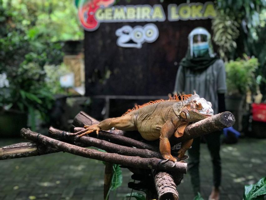 Intip Keseruan Wisata Keluarga di Gembira Loka Zoo. Banyak Atraksi Satwa juga, lo!