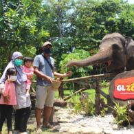 Intip Keseruan Wisata Keluarga di Gembira Loka Zoo. Banyak Atraksi Satwa juga, lo!