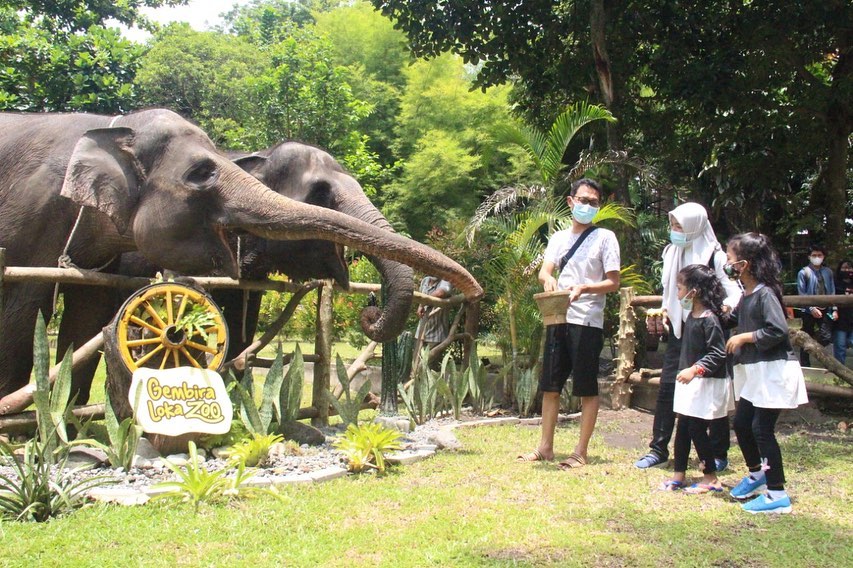 Intip Keseruan Wisata Keluarga di Gembira Loka Zoo. Banyak Atraksi Satwa juga, lo!