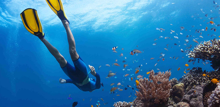 #WisataFilipina-Freediving di Pulau Palawan, Cocok untuk Freediver Pemula.