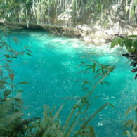 #WisataFilipina–The Hinatuan Enchanted River, Sungai Indah di Filipina yang Terkenal dengan Kejernihan Airnya.