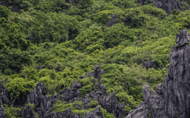 #WisataFilipina-Pantai El Nido di Filipina yang Sangat Sejuk dengan Pemandangan yang Indah.