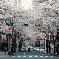 #BelajarDiNegeriOrang-Sebelum Memutuskan Belajar di Negeri Sakura, 5 Hal Ini Harus Kamu Persiapkan Terlebih Dahulu!