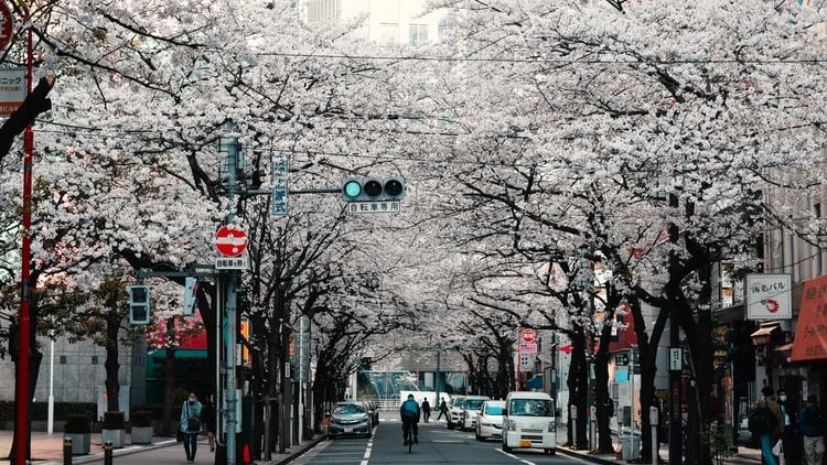 #BelajarDiNegeriOrang-Sebelum Memutuskan Belajar di Negeri Sakura, 5 Hal Ini Harus Kamu Persiapkan Terlebih Dahulu!