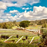 #WisataFilipina-Bermimpi Menyelami Keindahan Alam dan Keragaman Budaya di Kota Davao, Filipina.