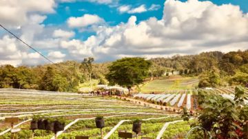 #WisataFilipina-Bermimpi Menyelami Keindahan Alam dan Keragaman Budaya di Kota Davao, Filipina.