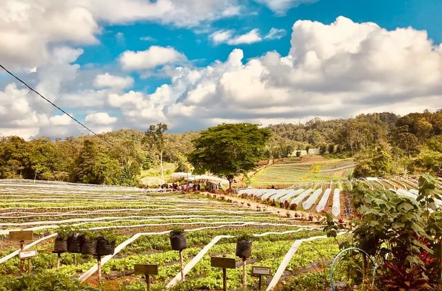 #WisataFilipina-Bermimpi Menyelami Keindahan Alam dan Keragaman Budaya di Kota Davao, Filipina.