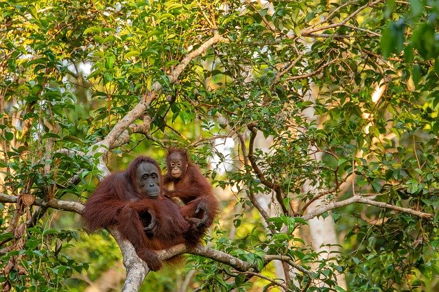 Voluntourism, Tren Wisata Unik yang Mengajakmu Liburan Sambil Ikut Aksi Sosial di Masyarakat Lokal