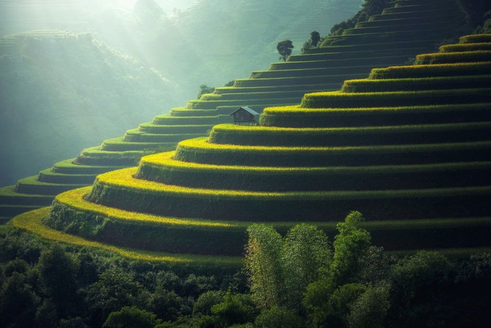 desa ubud adat di bali