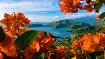 #WisataFilipina-Sebuah Angan untuk Mendengar Kicauan Burung di Pulau Davao