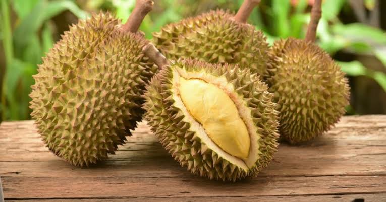 10 Destinasi Wisata Petik Buah Menarik Buat Mereka Para Pecinta Buah-buahan. Bisa Bawa Pulang Buahnya lo