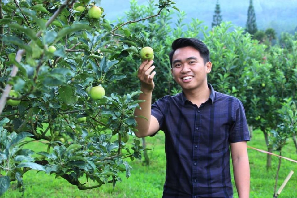 10 Destinasi Wisata Petik Buah Menarik Buat Mereka Para Pecinta Buah-buahan. Bisa Bawa Pulang Buahnya lo