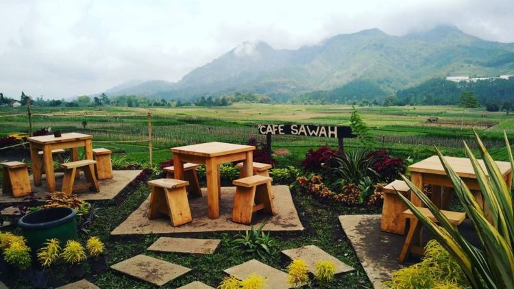 10 Wisata Kuliner Tempat Ngopi Bernuansa Sawah di Jogja yang Menyejukkan Pikiran