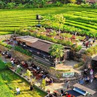 Rekomendasi 5 Tempat Ngopi Paling Seru di Yogyakarta yang Sangat Cocok Untuk Anak Milenial