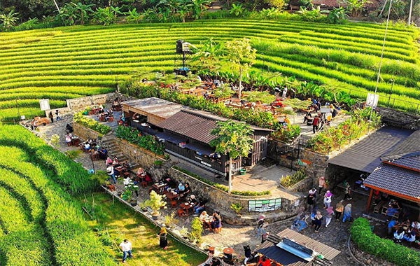 Rekomendasi 5 Tempat Ngopi Paling Seru di Yogyakarta yang Sangat Cocok Untuk Anak Milenial