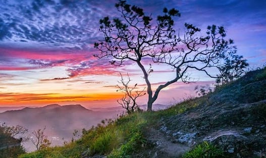 5 Wisata Hits yang Harus Dikunjungi Di Gunungkidul Yogyakarta, Selain Instagramable Juga Memanjakan Mata Lho!