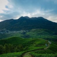 Rindu Suasana Pegunungan yang Sejuk, 5 Destinasi Andalan di Kaki Gunung Lawu