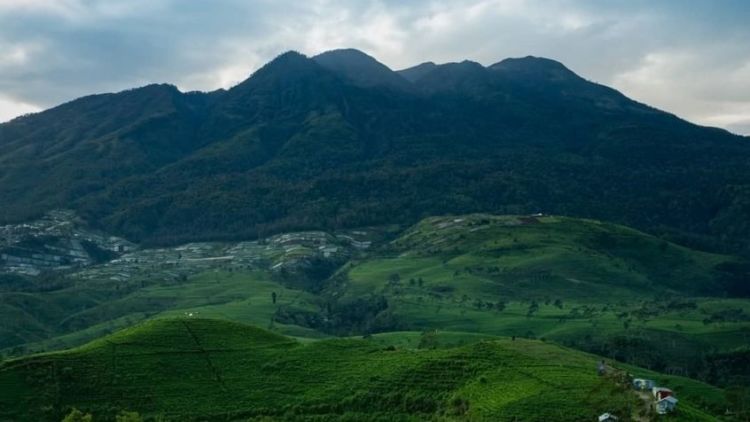 Rindu Suasana Pegunungan yang Sejuk, 5 Destinasi Andalan di Kaki Gunung Lawu