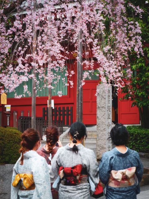 Serba-Serbi Festival Hanami, Tradisi Melihat Bunga Sakura yang Dilakukan oleh Orang Jepang!