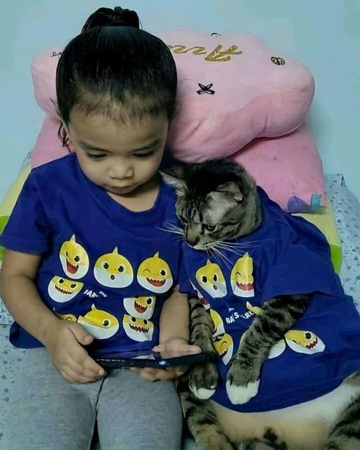 Viral Warganet Beli Kucing agar Anaknya Nggak Main HP Terus, Ujung-ujungnya Malah Main Gadget Bareng