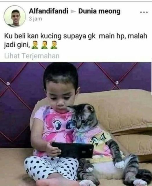 Viral Warganet Beli Kucing agar Anaknya Nggak Main HP Terus, Ujung-ujungnya Malah Main Gadget Bareng