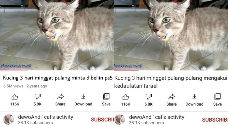 Masih Ingat Tentang Kucing yang Minggat 3 Hari Pulang Marah-Marah? Inilah Deretan Meme Kocaknya~