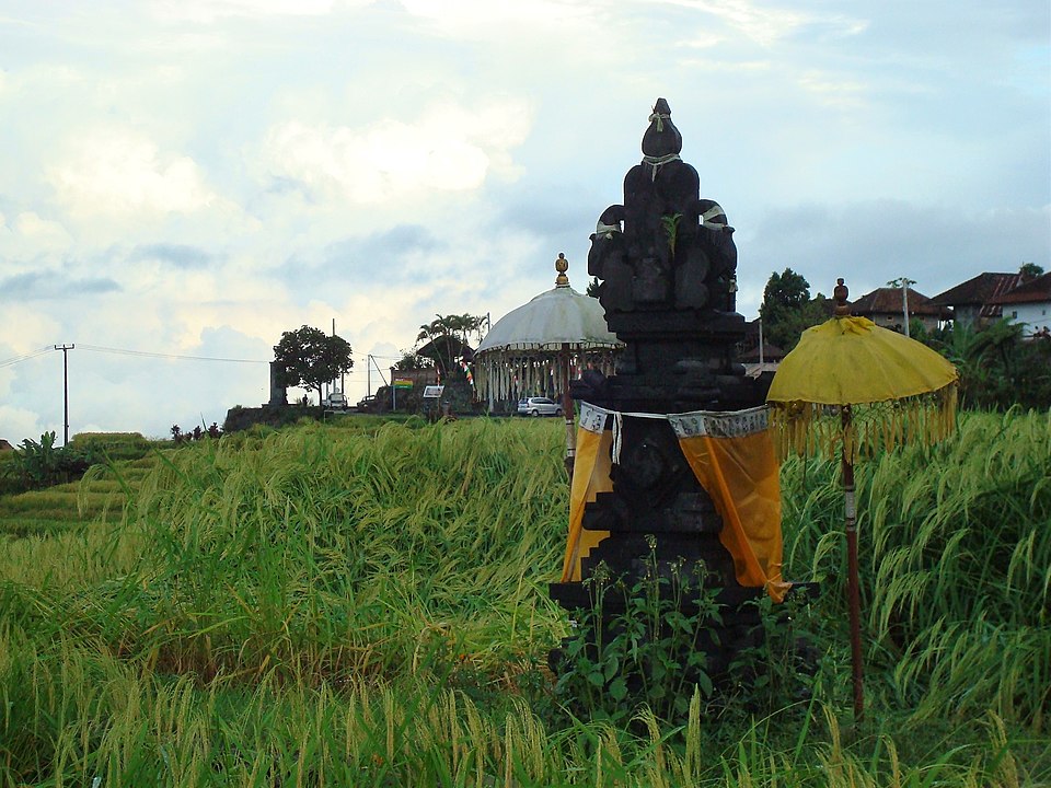 Mengenal Nilai Budaya dan Makna Filosofi Subak. Sistem Irigasi Tradisional di Tabanan Bali yang Sudah Diakui UNESCO