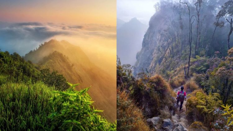 Rekomendasi 4 Gunung di Bandung untuk Pendaki Pemula. Lewati Trek Perkebunan Sayur Hingga Tempat Latihan Kopassus!