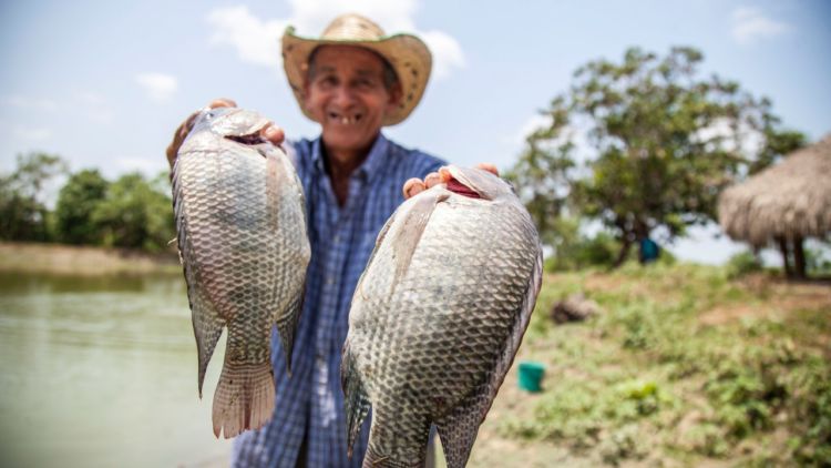 Sering Dianggap Sampah, Berikut Manfaat Limbah Tulang Ikan yang Jarang Diketahui