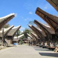 #DestinasiHipwee-Mengenang Kisah Seru Mengunjungi Makassar dan Toraja