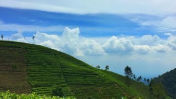 #DestinasiHipwee-Sirah Kencong Blitar, Destinasi yang Komplit untuk Penikmat Teh, Penggemar Sejarah, Pecinta Alam dan Para Pendaki